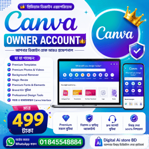 Home canva owner account